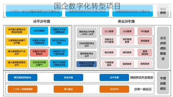 国企数字化转型项目