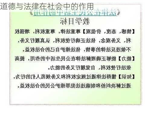 道德与法律在社会中的作用