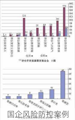 国企风险防控案例