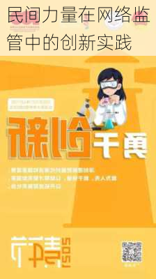 民间力量在网络监管中的创新实践