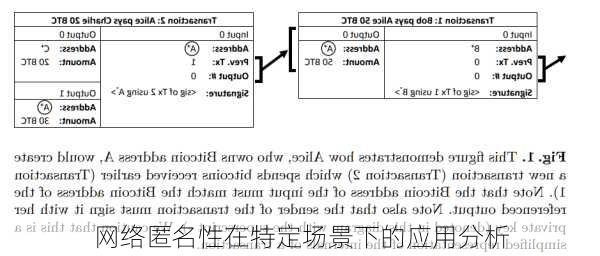 网络匿名性在特定场景下的应用分析