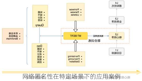 网络匿名性在特定场景下的应用案例