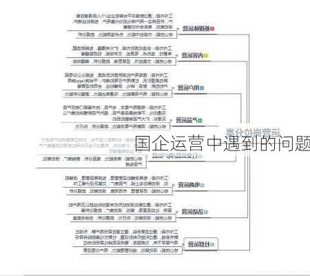 国企运营中遇到的问题