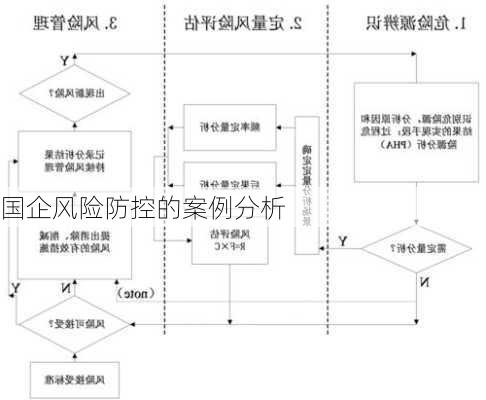 国企风险防控的案例分析