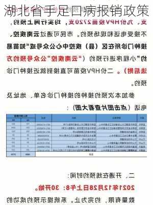 湖北省手足口病报销政策