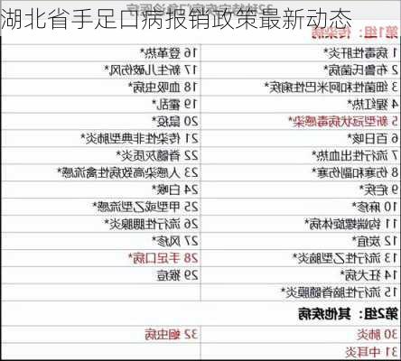 湖北省手足口病报销政策最新动态