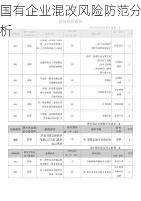 国有企业混改风险防范分析