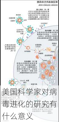 美国科学家对病毒进化的研究有什么意义