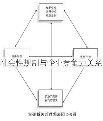 社会性规制与企业竞争力关系