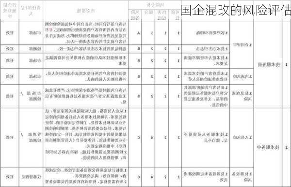 国企混改的风险评估