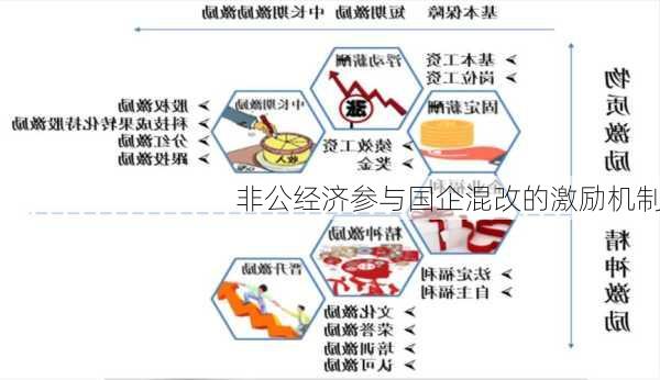 非公经济参与国企混改的激励机制