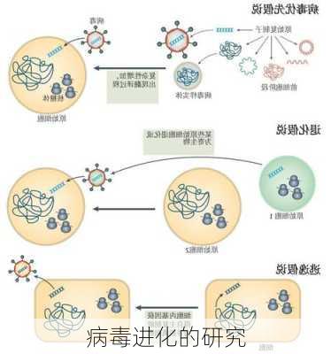 病毒进化的研究