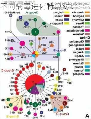 不同病毒进化特点对比
