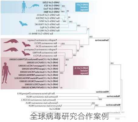 全球病毒研究合作案例