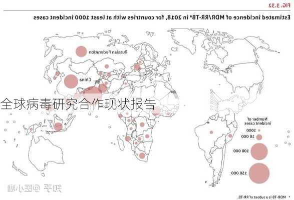 全球病毒研究合作现状报告