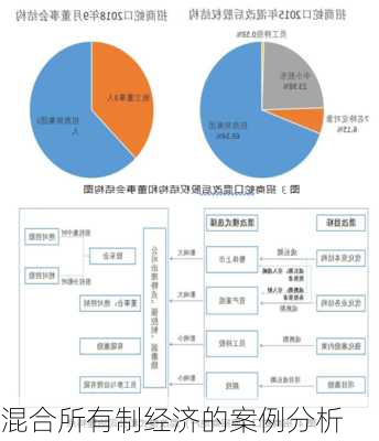 混合所有制经济的案例分析