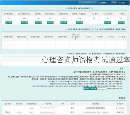 心理咨询师资格考试通过率
