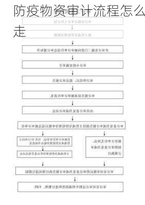 防疫物资审计流程怎么走