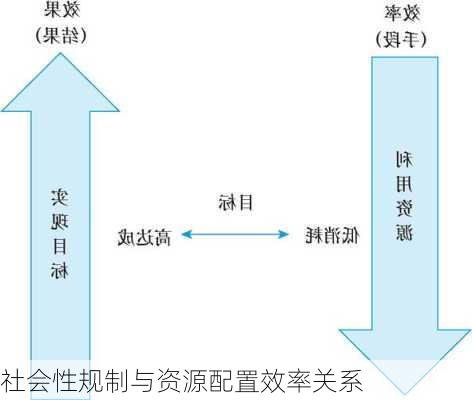 社会性规制与资源配置效率关系