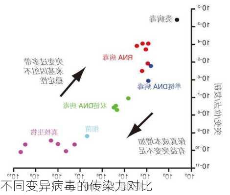 不同变异病毒的传染力对比