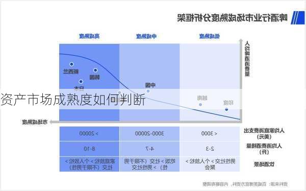 资产市场成熟度如何判断