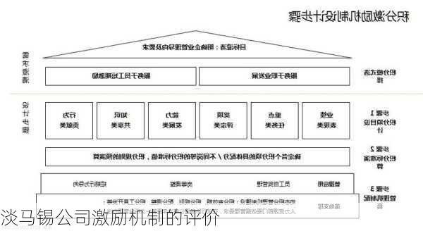 淡马锡公司激励机制的评价