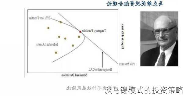 淡马锡模式的投资策略