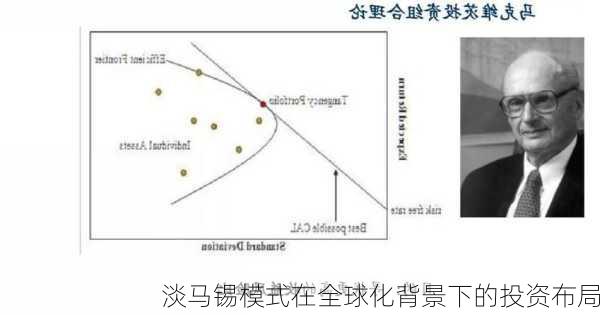 淡马锡模式在全球化背景下的投资布局