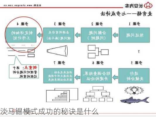 淡马锡模式成功的秘诀是什么