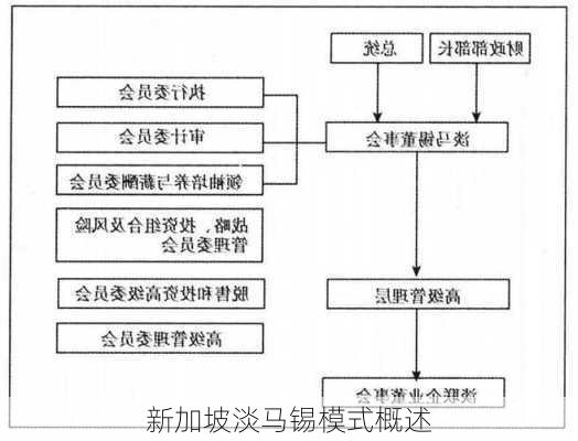 新加坡淡马锡模式概述