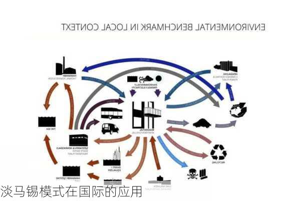 淡马锡模式在国际的应用