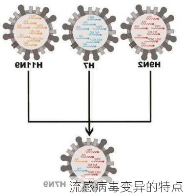 流感病毒变异的特点