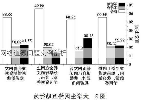 网络道德问题实例剖析