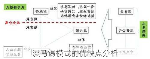 淡马锡模式的优缺点分析