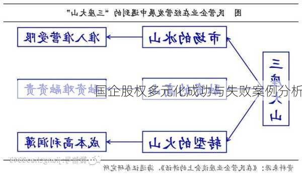 国企股权多元化成功与失败案例分析