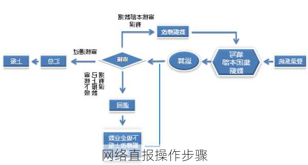 网络直报操作步骤