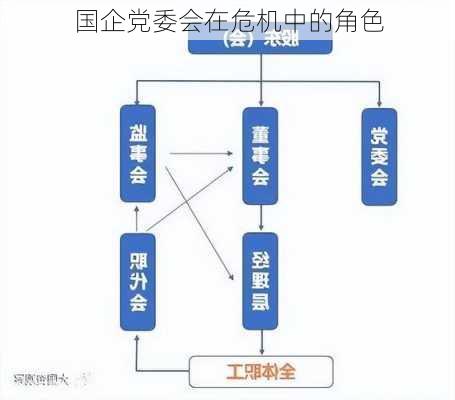 国企党委会在危机中的角色