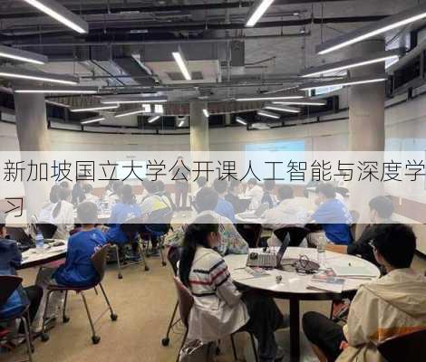 新加坡国立大学公开课人工智能与深度学习