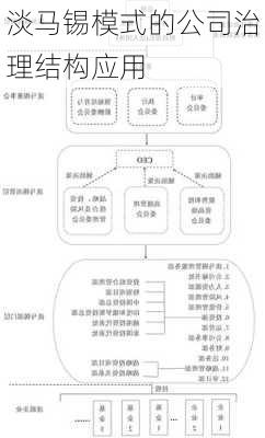 淡马锡模式的公司治理结构应用