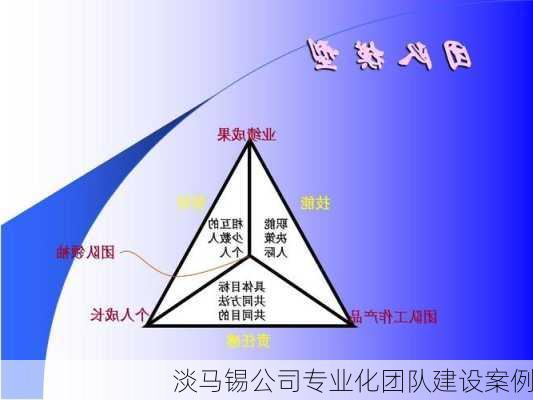 淡马锡公司专业化团队建设案例