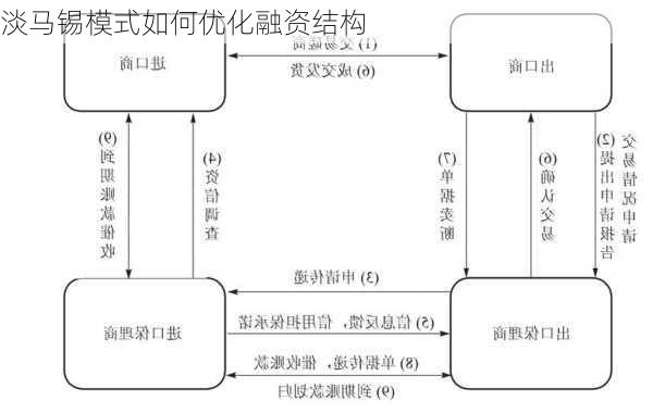 淡马锡模式如何优化融资结构