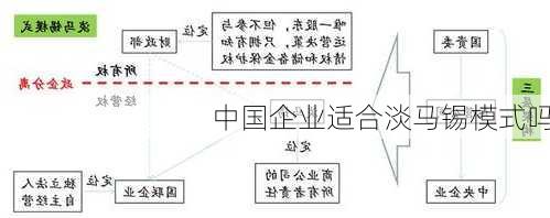 中国企业适合淡马锡模式吗