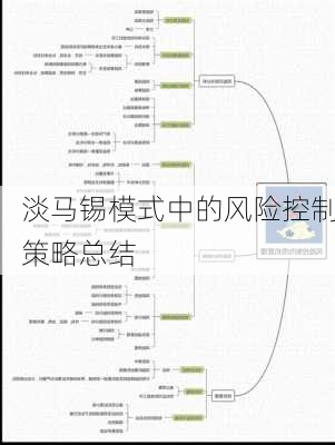 淡马锡模式中的风险控制策略总结