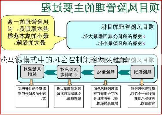 淡马锡模式中的风险控制策略怎么理解