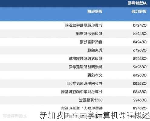 新加坡国立大学计算机课程概述