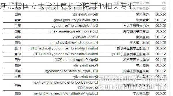 新加坡国立大学计算机学院其他相关专业