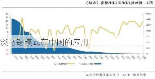 淡马锡模式在中国的应用