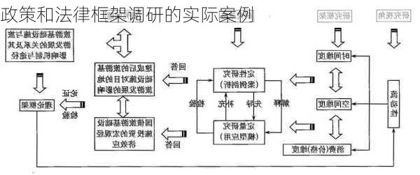 政策和法律框架调研的实际案例