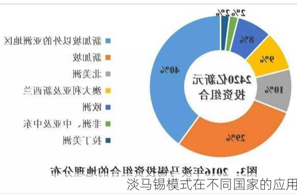 淡马锡模式在不同国家的应用