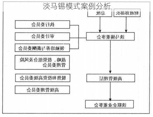 淡马锡模式案例分析